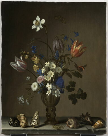 Fleurs dans une coupe en verre, coquillages, papillons et sauterelle