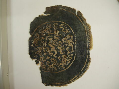 orbiculus ; fragment, image 2/2
