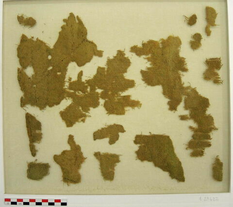 manteau ; fragments ; fragments, image 2/2