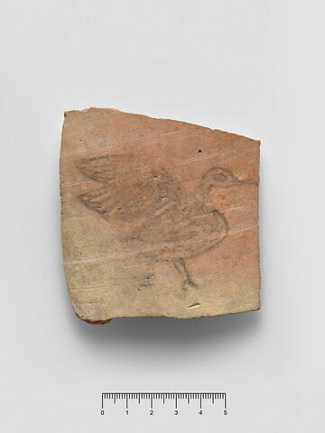 ostracon figuré