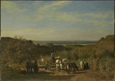 Vendanges sur les bords de la Seine, à Suresnes