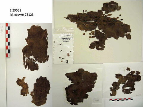 tissu ; fragments ; fragments, image 9/9