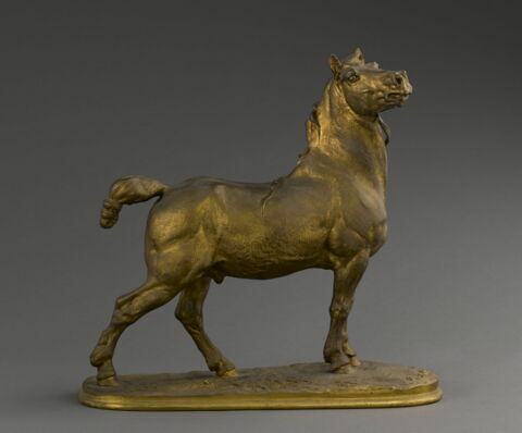 Cheval, image 3/7