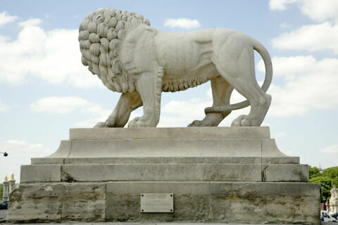 Lion, image 4/11