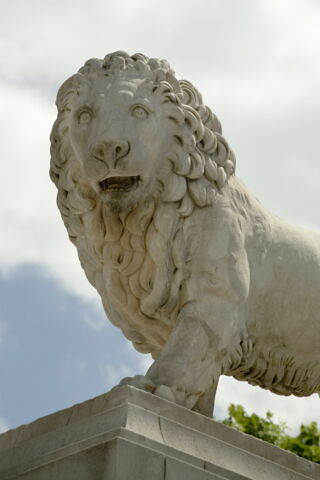 Lion, image 2/10