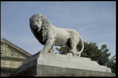 Lion, image 9/10