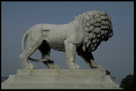 Lion, image 10/10