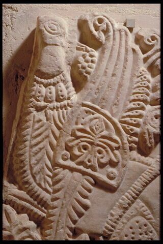 Fragment de plaque ornée d'un griffon, image 3/4