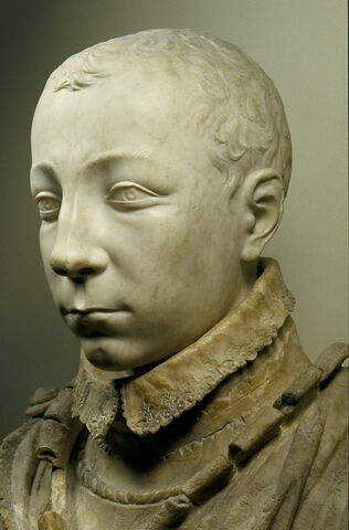 Charles IX (Saint-Germain-en-Laye, 1550-Vincennes, 1574) roi de France, image 8/9