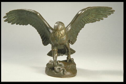 Aigle emportant un serpent, image 4/7