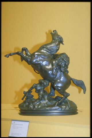 Cheval surpris par un lion, image 4/4