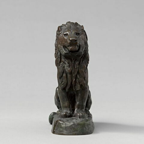 Lion assis, image 2/6