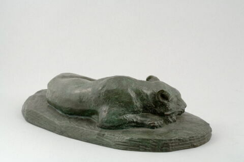 Jaguar dormant, image 6/9