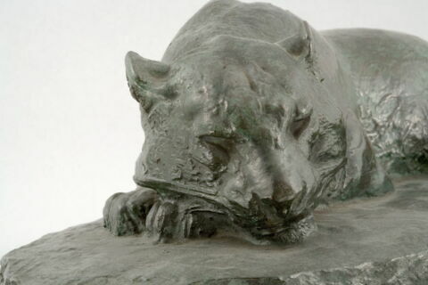 Jaguar dormant, image 7/9