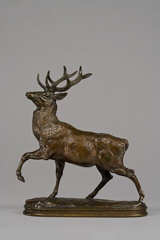 Cerf la patte levée, image 2/7