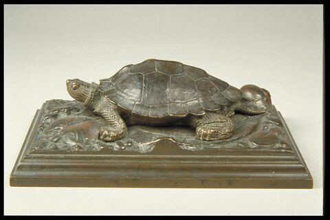 Tortue sur plinthe