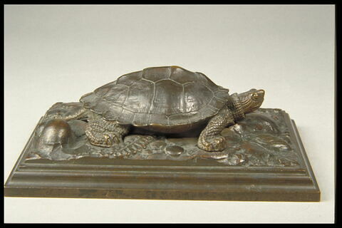 Tortue sur plinthe, image 2/4