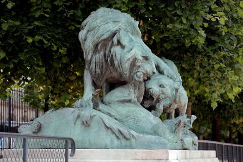 Lion et lionne se disputant un sanglier, image 4/9