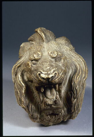 Tête de lion