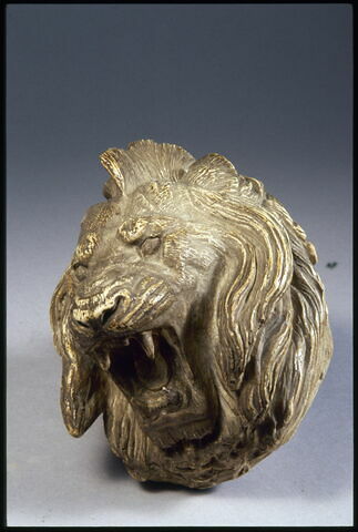 Tête de lion, image 3/4