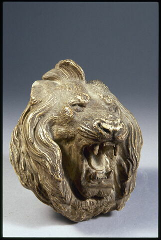 Tête de lion, image 4/4