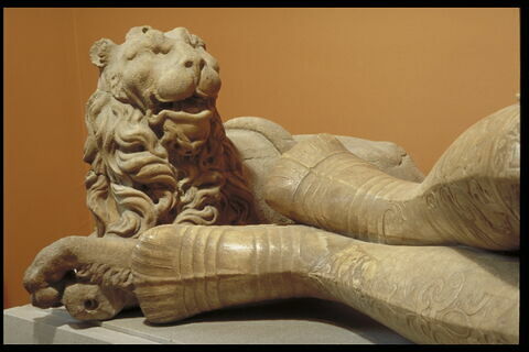 Lion, image 3/5