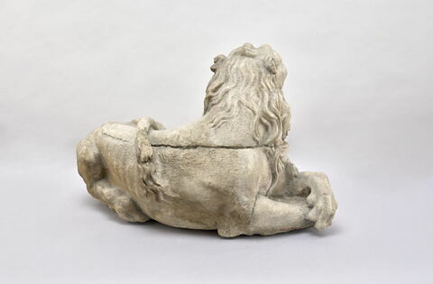 Lion, image 2/5