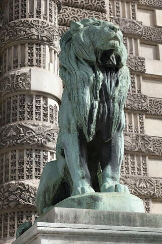 Lion assis, image 5/6