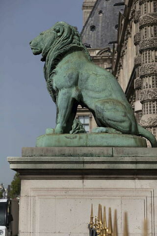 Lion assis, image 6/6