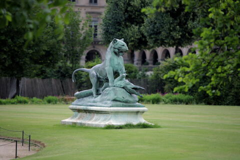 Tigre terrassant un crocodile, image 7/11