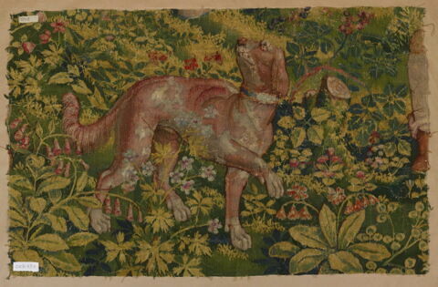 Fragment de verdure avec un chien, image 5/5