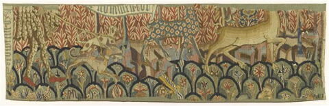 Couples de femmes et d'hommes sauvages évoluant dans un jardin, image 5/5