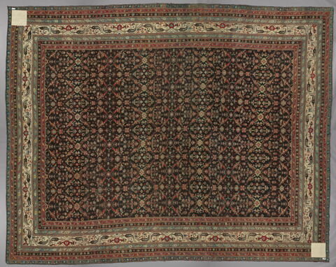 Tapis Persan (à noeuds asymétriques), image 13/13