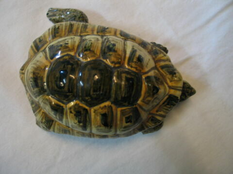 Statuette : tortue, image 3/3