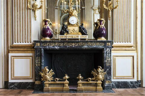 Boiserie de la chambre à coucher du duc de Chevreuse, image 6/7