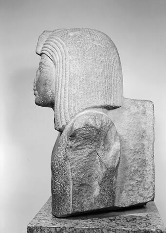 Statue d'Osorkon Ier, image 9/9