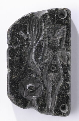 moule  ; moule, image 3/4