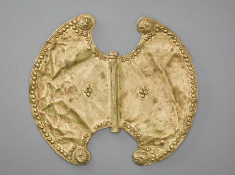 pectoral