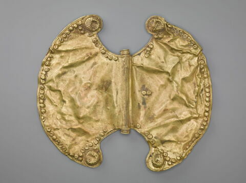 pectoral