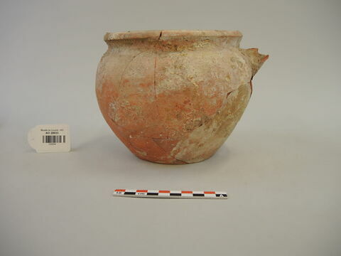 vase