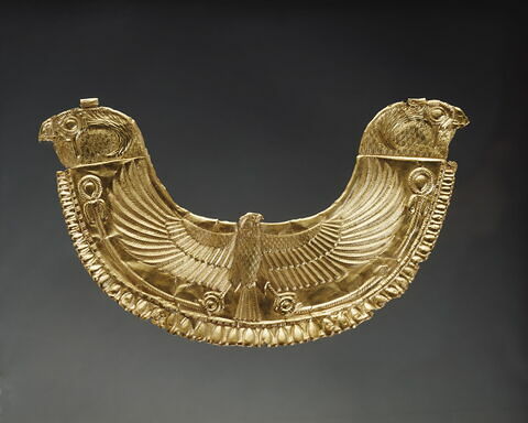 pectoral, image 4/4