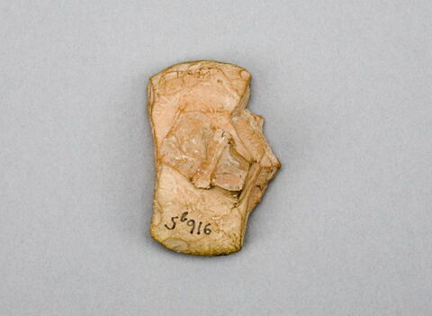 cachet, image 3/3