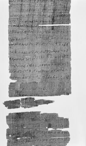 papyrus, image 6/7