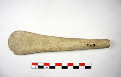 spatule ; estèque