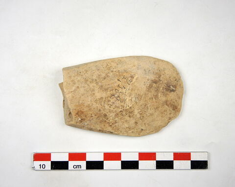 spatule ; estèque