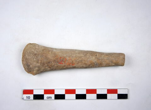 spatule  ; estèque