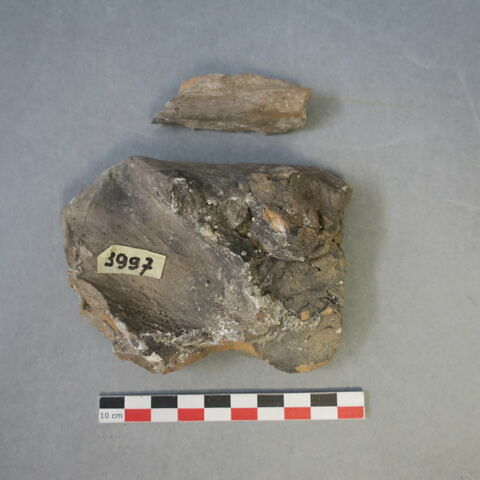 sculpture, fragment