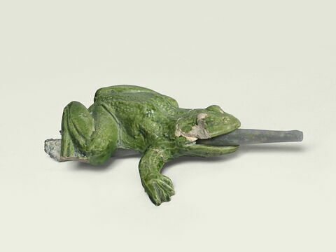 Grenouille de fontaine