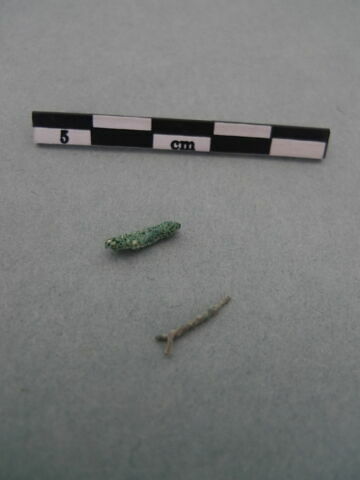 tige fragment, image 3/3