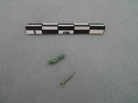 tige fragment, image 2/3